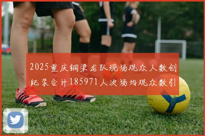 2025重庆铜梁龙队现场观众人数创纪录合计185971人次场均观众数引发热议